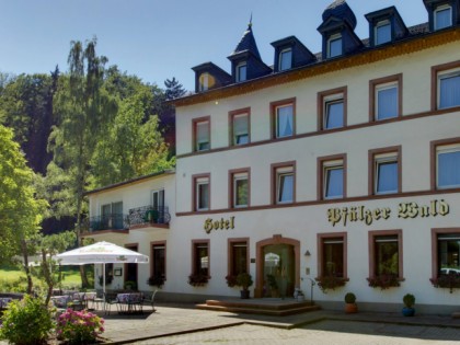 照片: Hotel Pf&amp;auml;lzer Wald